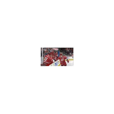 NHL 2008 