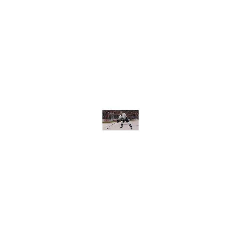 NHL 2007 