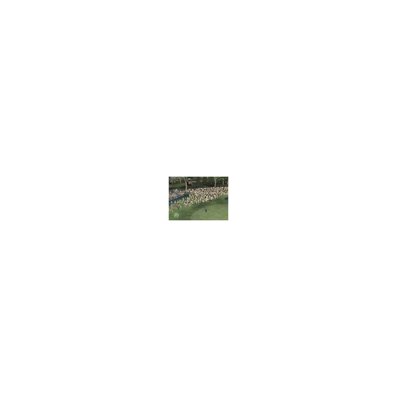 Tiger Woods 2007 