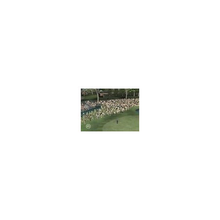 Tiger Woods 2007 
