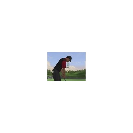 Tiger Woods 2006 (PLATINUM*) 