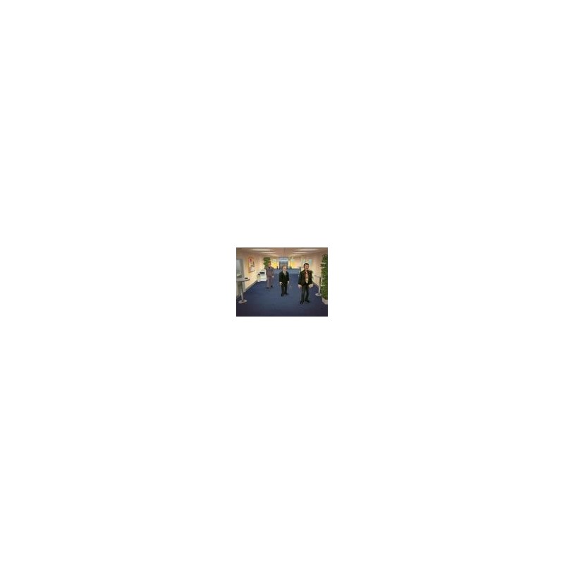 new 