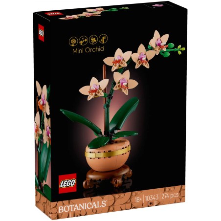 ORCHIDEE MINIATURE BOTANIC 