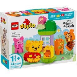ANNIVERSAIRE DUPLO WINNIE 