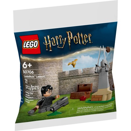 LECON DE QUIDDITCH HPOTTER 