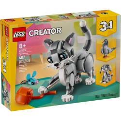 LE CHAT JOUEUR CREATOR 