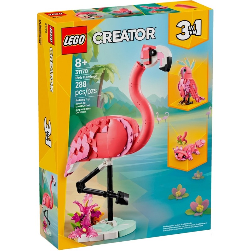 FLAMANT ROSE CREATOR 