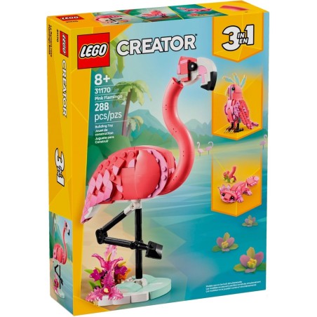 FLAMANT ROSE CREATOR 