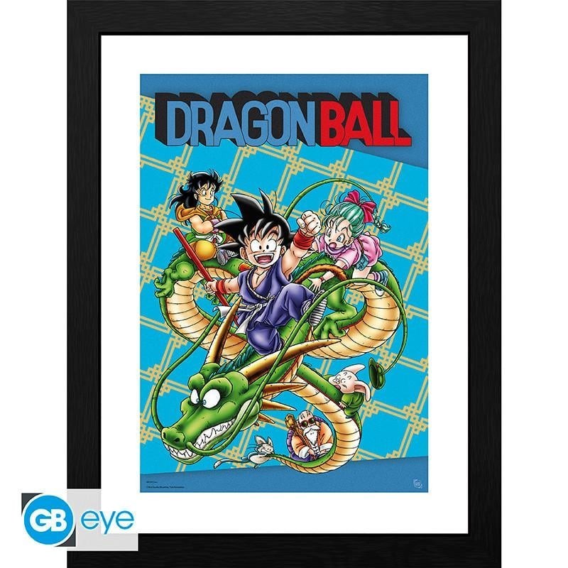 DRAGON BALL - Collector Print 30X40 - Couverture 