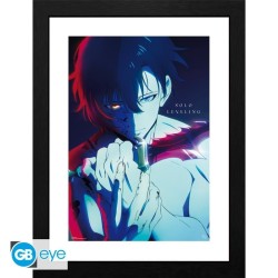 SOLO LEVELING - Collector Print 30X40 - Jinwoo 