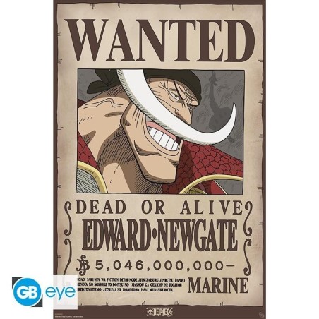 ONE PIECE - Wanted Barbe Blanche - Poster 91x61cm 