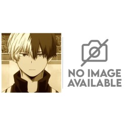 MY HERO ACADEMIA - Shoto Todoroki - Figurine Xross Link 12cm 