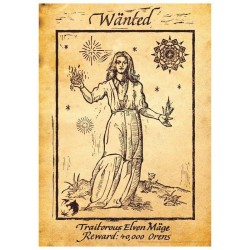 THE WITCHER - Art Print Edition Limitée 