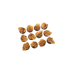 Temple Bases, Round 25mm (5)