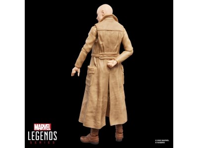 DEADPOOL & WOLVERINE - Cassandra Nova - Figurine Legends Series 15cm 