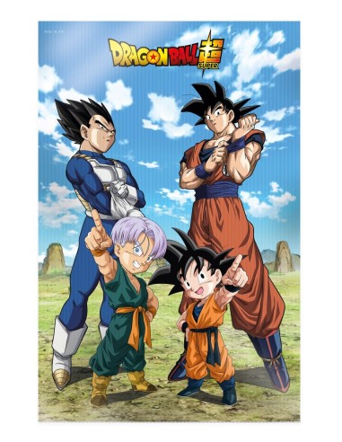 DRAGON BALL SUPER - Famille - Poster 3D - 58x38cm 