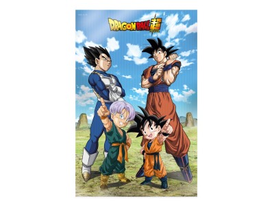 DRAGON BALL SUPER - Famille - Poster 3D - 58x38cm 