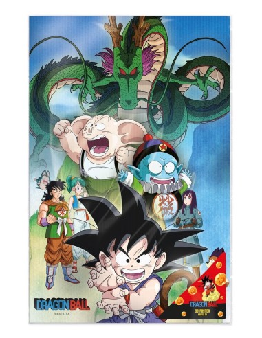 DRAGON BALL - Shenron & Héros - Poster 3D - 58x38cm 