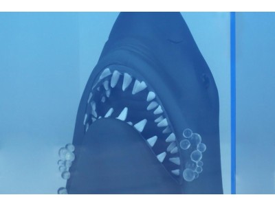 LES DENTS DE LA MER - Figurine Poster 3D - 28cm 
