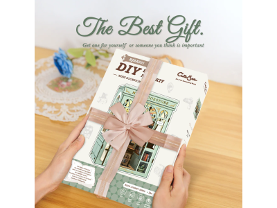 BOOK NOOK KIT - DIY- Librairie Muse - 201pc + LED Light 