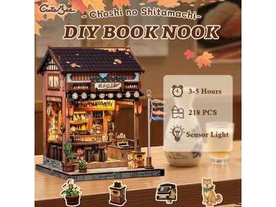 MINIATURE HOUSE - DIY- Choshi no Shitamachi - 218pc + Eclairage LED 