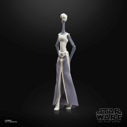 STAR WARS 2 - Taun We - Figurine Black Series 15cm 