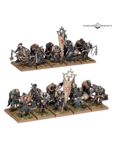 WARRIORS OF CHAOS: CHAOS MARAUDERS