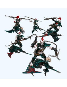 DRUKHARI HELLIONS