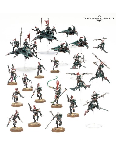 THE MAELSTROM BATTALION: DRUKHARI