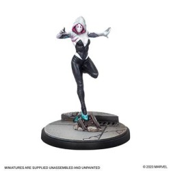 Spiderman & Ghost spider 2