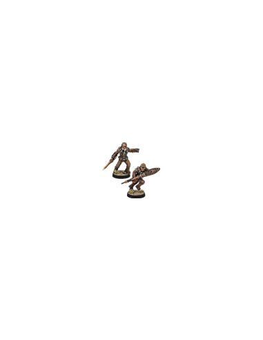 GUERRIERS WOOKIES DE KASHYYYK