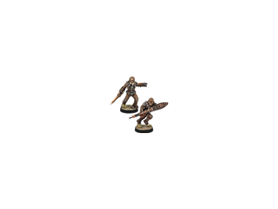 GUERRIERS WOOKIES DE KASHYYYK