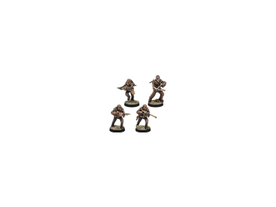 GUERRIERS WOOKIES DE KASHYYYK