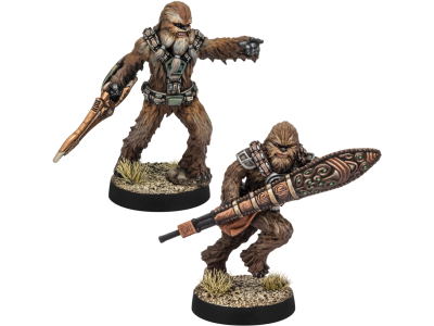 GUERRIERS WOOKIES DE KASHYYYK