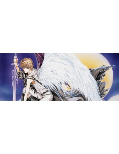 ANGEL SANCTUARY - Tome 2 - EDITION MASTERPIECE 