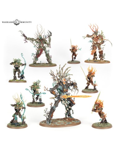 SYLVANETH: SYLVE DE FORTESOUCHE