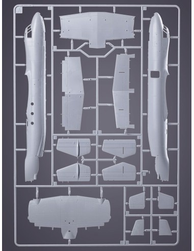 E-2C Hawkeye 