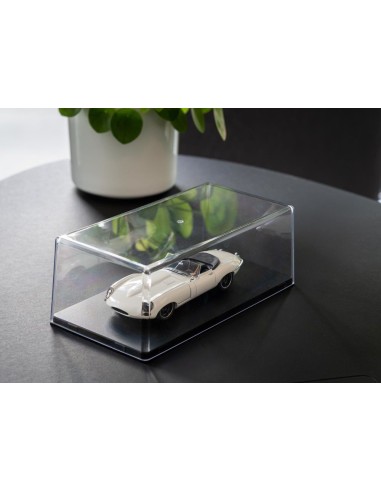 Acrylic Showcase, 252 x 127 x 80 mm 
