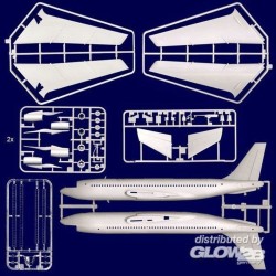 Boeing 720 "Ceasar's Chariot"  2