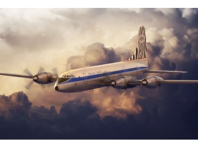 Bristol 175 Britannia African Safari 