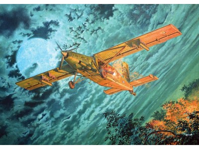 Fairchild AU-23A Peacemaker 