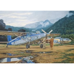 Pilatus PC-6C/H-2 Turbo-Porter 
