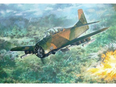 North American T-28D Trojan 