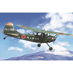 L-19/O-1 Bird Dog "Asian service"  2