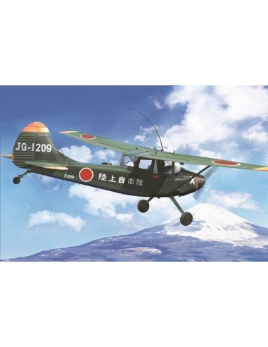 L-19/O-1 Bird Dog "Asian service" 