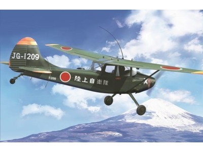 L-19/O-1 Bird Dog "Asian service" 