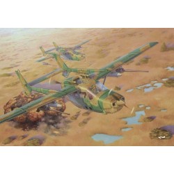 Reims FTB337G Lynx "Bush war"  2