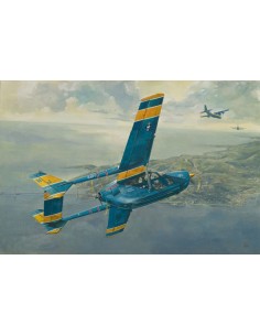 O-2A Skymaster U.S. Navy Service  2