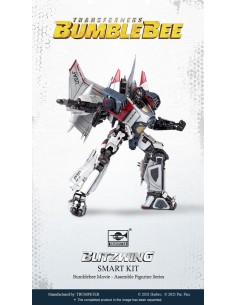TF-6 Blitzwing 