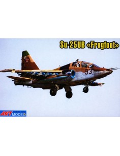 Sukhoi Su-25UB 